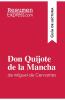 Don Quijote de la Mancha de Miguel de Cervantes (Gu��a de lectura)
