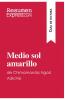Medio sol amarillo de Chimamanda Ngozi Adichie (Gu��a de lectura)