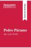 Pedro P��ramo de Juan Rulfo (Gu��a de lectura)