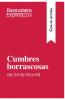 Cumbres borrascosas de Emily Bront�� (Gu��a de lectura)