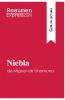 Niebla de Miguel de Unamuno (Gu��a de lectura)