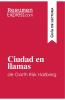 Ciudad en llamas de Garth Risk Hallberg (Gu��a de lectura)