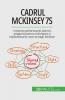 Cadrul McKinsey 7S