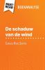 De schaduw van de wind van Carlos Ruiz Zafón (Boekanalyse)