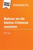 Balzac en de kleine Chinese naaister van Dai Sijie (Boekanalyse)
