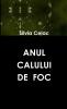 ANUL  CALULUI  DE  FOC