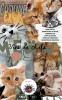 Vies de chats
