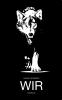 WIR