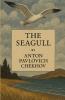 The seagull(Illustrated)