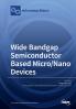 Wide Bandgap Semiconductor Based Micro/Nano Devices