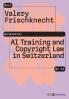 AI Training and Copyright Law in Switzerland