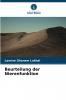 Beurteilung der Nierenfunktion
