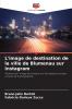 L'image de destination de la ville de Blumenau sur Instagram