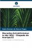 Macaúba-Extraktivismus in der APA - Chapada do Araripe/CE