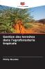 Gestion des termites dans l'agroforesterie tropicale