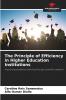 The Principle of Efficiency in Higher Education Institutions