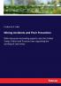 Mining Accidents and Their Prevention