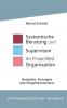 Systemische Beratung und Supervision im Praxisfeld Organisation
