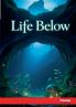 Life Below