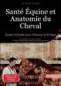Santé Équine et Anatomie du Cheval