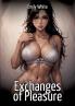 Exchanges of Pleasure