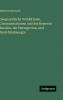 Geographische Verhältnisse Communicationen und das Reisen in Bosnien der Herzegovina und Nord-Montenegro