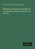 Mémoires politques d'un membre de L'Assemblée nationale constituante de 1871