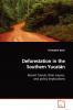 Deforestation in the Southern Yucatán