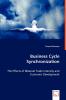 Business Cycle Synchronization - The Effects of Bilateral Trade Intensity and Economic Development