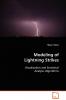 Modeling of Lightning Strikes