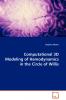 Computational 3D Modeling of Hemodynamics in the Circle of Willis