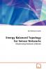 Energy Balanced Topology for Sensor Networks