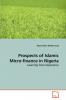 Prospects of Islamic Micro-finance in Nigeria