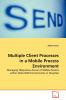 Multiple Client Processes in a Mobile Process Environment