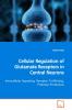 Cellular Regulation of Glutamate Receptors in  Central Neurons