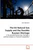 The EU Natural Gas Supply and the Possible Russian Shortage