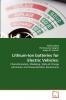 Lithium-Ion batteries for Electric Vehicles