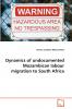 Dynamics of undocumented Mozambican labour migration to South Africa