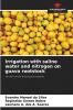 Irrigation with saline water and nitrogen on guava rootstock