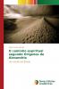 O caminho espiritual segundo Orígenes de Alexandria