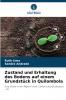 Zustand und Erhaltung des Bodens auf einem Grundstück in Quilombola