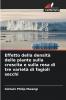 Effetto della densità delle piante sulla crescita e sulla resa di tre varietà di fagioli secchi