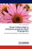 Tissue Culture Role in Echinacea Purpurea Plant Propagation