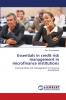 Essentials in credit risk management in microfinance institutions
