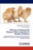 Efficacy of Newcastle Disease Virus Vaccines in Broiler Chickens