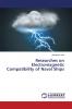 Researches on Electromagnetic Compatibility of Naval Ships
