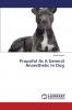 Propofol As A General Anaesthetic In Dog