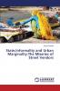 StateInformality and Urban Marginality