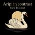 Aripi în contrast - Carte de Colorat