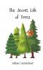 The Secret Life of Trees